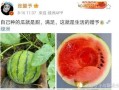 哪里可以吃娱乐圈瓜,揭秘明星们的幕后故事与幕后美食