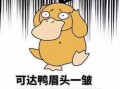 打今日一线爆料要钱吗,是否需要支付费用？