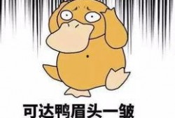 打今日一线爆料要钱吗,是否需要支付费用？